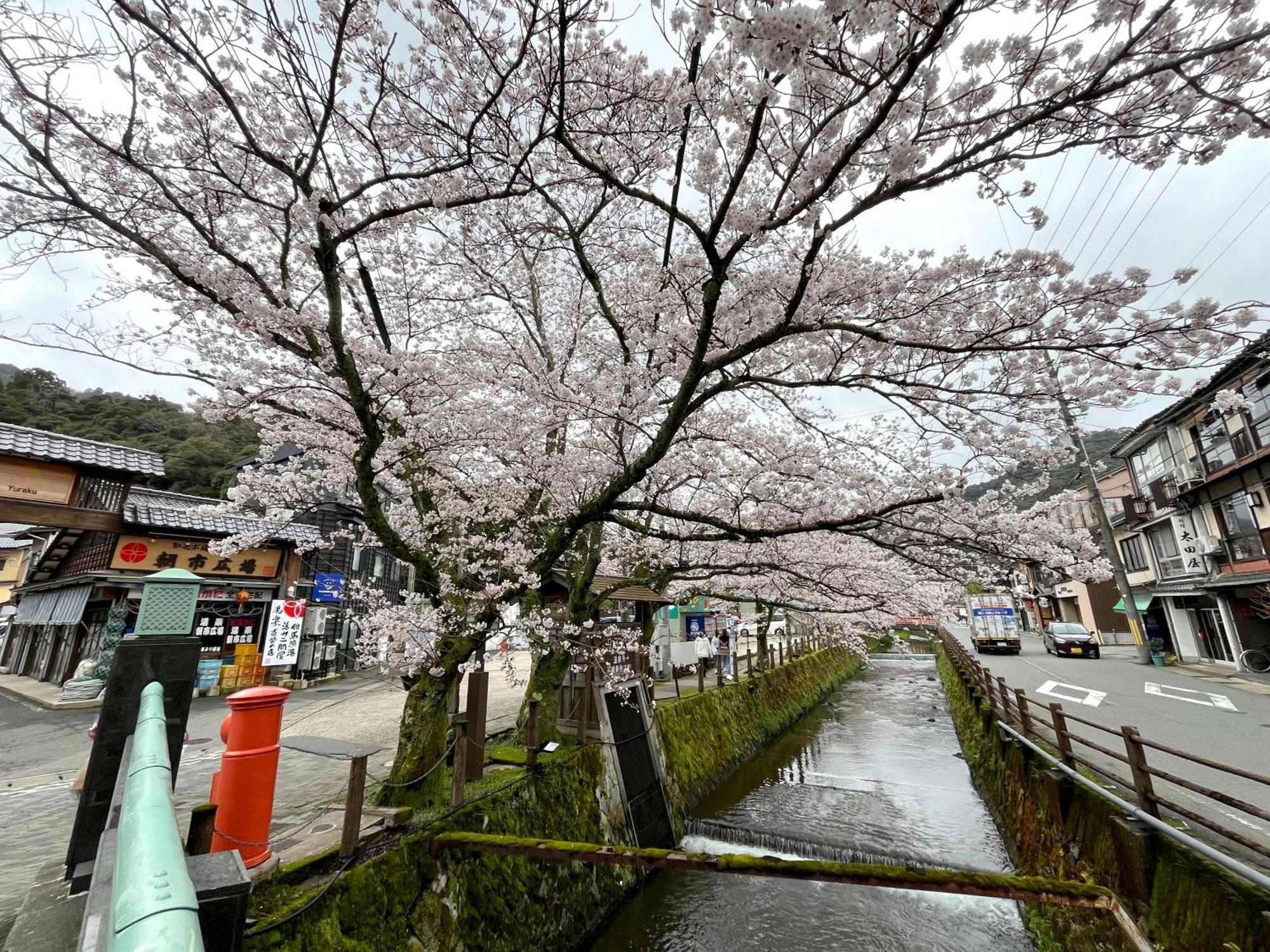 城崎温泉一棟貸し　旅宿yadokari Toyooka  Exterior photo